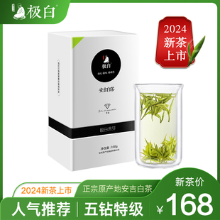 2024绿茶新茶上市极白安吉白茶特级100g礼盒装珍稀春茶明前茶叶