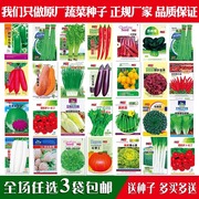 蔬菜种子四季播盆栽阳台庭院香菜，生菜菠菜小葱，简单秋易种籽孑大全
