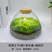 青苔苔藓植物景观闷养瓶微景观微观F生态瓶微缩盆栽盆景造景成品
