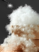 鹅绒扭花平格羽绒被冬被被子被芯进口95白鹅绒加厚轻便保暖