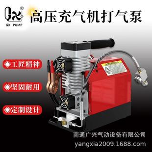 -E-CS2降价卖车载打气泵无油润滑高压打气机汽车打气泵30mpa