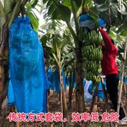 香蕉套袋神器套芭蕉树袋子使用的专用工具不锈钢3.9米伸缩杆1.8米
