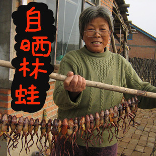 长白山亚种林蛙干雪蛤纯干小铁柱哥，蛤蟆干东北吉林省产地满百