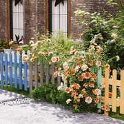 防腐木花园围栏庭院草坪花池护栏户外菜地围挡篱笆装饰插地小栅栏