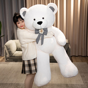 抱抱熊公仔巨型泰迪熊大娃娃毛绒玩具玩偶熊猫白色大熊熊女孩狗熊
