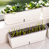 阳台种菜盆蔬菜种植专用箱，超窄窗沿边长方形草莓花槽懒人花盆神器