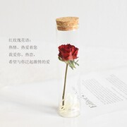 网红玫瑰花满天星小花束干花，玻璃罩摆件包装送女友，送闺蜜朋友礼物