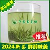 信阳毛尖2024新茶雨前茶，特级嫩芽散装茶叶绿茶浓香型高山春茶500g