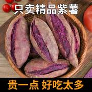 新鲜紫薯板栗红薯地瓜，番薯5山芋小香薯蜜薯农家自种