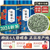 绿大师 特级6A明前碧螺春2024新茶 高山绿茶春茶浓香型茶叶共500g