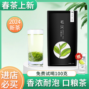 毛尖茶叶2024明前新茶绿茶，炒青浓香散装春茶250g自己喝5星特尊茶