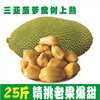 海南菠萝蜜25斤现摘现发新鲜水果，超甜热带特产非红肉4030