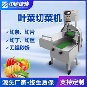 多功能切菜机商用全自动切片切丝机切段切瓜切蔬菜切葱花切丁机器