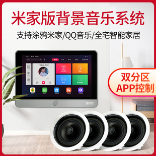 Hivi/惠威 VX5-C 智能AI语音中控系统嵌入式背景音乐吸顶喇叭套装