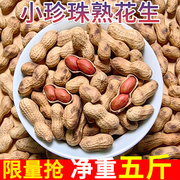 铁锅炒花生小珍珠农家花生原味零食带壳花生2023新货花生新鲜炒熟