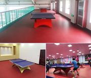 乒乓球地胶羽毛球，地胶塑胶地板，运动地板室内