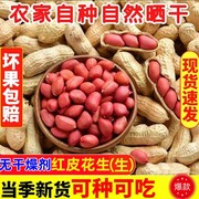 炒熟原味四粒红带壳，红皮花生米新鲜铁锅红衣，花生现炒花生坚果炒货