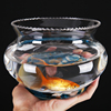 创意水培花器绿萝花边生态透明圆形，玻璃金鱼缸(金鱼缸，)乌龟缸斗鱼缸
