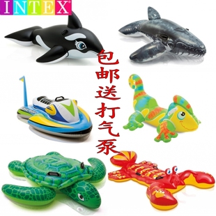 水上充气动物坐骑鳄鱼海龟，蓝鲸鱼浮床浮排黑鲸海豚成人儿童游泳圈