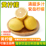 新鲜多汁新奇士黄柠檬调酒饮品日料西餐奶茶店安岳柠檬商用水果