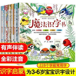 魔法识字书全套6册我的第一套汉字书学前幼儿阅读与识字书5-6岁幼儿园学龄前儿童看图识字书籍幼小衔接大班升一年级小班中班早教