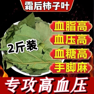 ‮霜后野生新鲜干柿子叶中药泡茶500g泡水喝的功效降压同仁堂柿子叶降血压血糖血脂三高降压茶