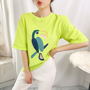 韩国东大门女装2023秋季时尚简约糖果色小鸟图案T恤潮