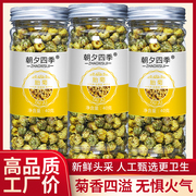 菊花茶桐乡胎菊王四季(王四季)泡水杭白菊干搭枸杞，金银花决明子茶养生茶叶