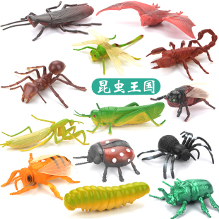 儿童昆虫玩具塑胶仿真动物模型，蜘蛛蝴蝶蜜蜂蜈蚣，蚂蚁大小摆件套装