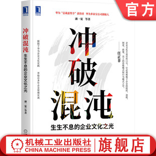 正版 冲破混沌 生生不息的企业文化之光 潘一宽  潘氏模型 企业精神 核心价值观 使命愿景 战略标准 企业管理