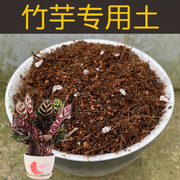 竹芋专用土营养土竹芋土有机椰糠泥炭土壤家用盆栽植物种植土花肥