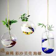 洛嘉创意悬挂玻璃花瓶吊挂小鱼缸绿萝水培植物透明花瓶家居墙壁装