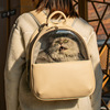 猫包外出双肩包手提可拎可视透明猫咪狗狗宠物包兔子大容量可携带