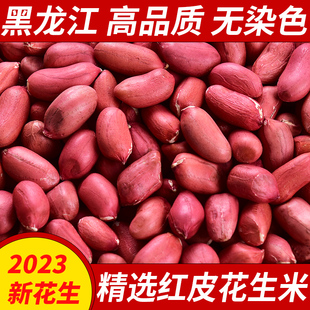 2023年新货东北红皮生花生米不带壳5斤散装花生仁种子新鲜晒干