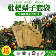枇杷套果的袋子袋梨子桃子苹果芒果柚子枇杷袋子枇杷套袋纸水果套
