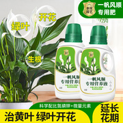 一帆风顺营养液花肥盆栽水培白掌营养液专用肥料白鹤芋火鹤花肥