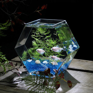美人鱼缸斗鱼缸大号玻璃鱼缸高透亮(高透亮)桌面，鱼缸办公室创意金鱼缸(金鱼缸)花瓶