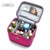 专业化妆包大容量韩国便携旅行手提大号收纳包可爱(包可爱)防水带锁化妆箱