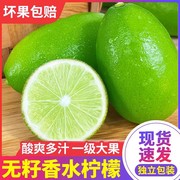 海南香水柠檬无籽酸青柠檬一级皮薄新鲜水果非广东甜黄奶茶店专用
