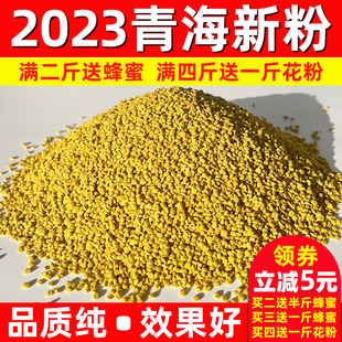 2023新鲜青海油菜花粉纯正天然食用未破壁蜜蜂花粉前列腺500g