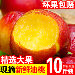 当季10斤黄心油桃子新鲜脆桃应季时令水果香桃整箱4月五月红桃