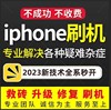 适用于苹果iPhone15ProMax/14/13/12/X手机官解平板远程刷机隐藏
