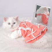 猫咪衣服幼猫裙子银渐层小猫防掉毛英短布偶猫猫夏季可爱公主裙秋