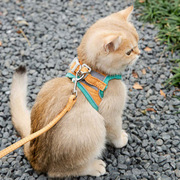 猫咪牵引绳可爱背心式胸背防挣脱幼猫魔术贴安全扣反光宠物遛猫绳