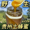 贵州真正纯野生土蜂蜜，山里挖的土，蜂蜜结晶蜂蜜天然蜜