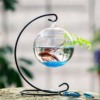 鱼缸玻璃自己组装苔藓多肉植物微景观圆生态玻璃瓶子 吊瓶花盆栽