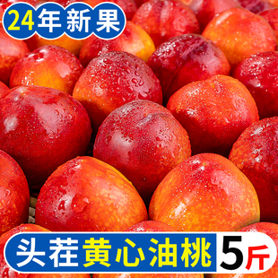 黄心油桃5斤应季大桃子新鲜水果当季水密桃整箱孕妇蜜脆桃10