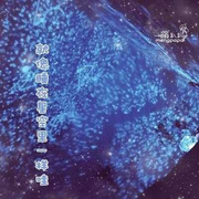 星空灯投影灯浪漫旋转卧室投影仪梦幻夜空海洋少女生日礼W物