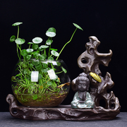 绿萝水培容器玻璃透明花瓶，创意桌面装饰小摆件插花铜钱草花盆器皿