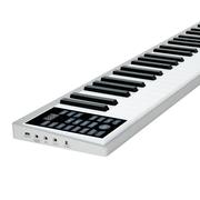 便携式智能电子钢琴61键电子琴手卷超薄型多功能电子钢琴